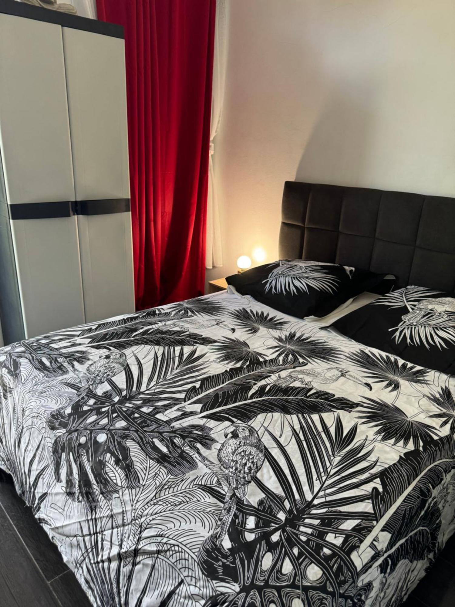 Bed and Breakfast Skys Location Pakehina Schoelcher Esterno foto